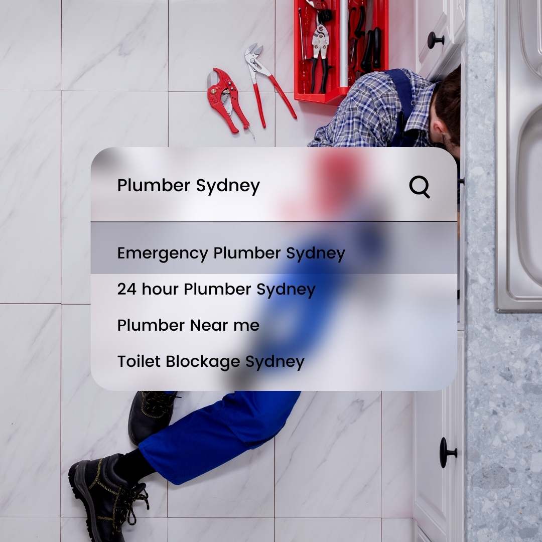 Sydney Website Optimisation for Google SEO Ranking Australia - Local Search SEO